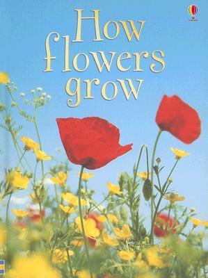 How Flowers Grow book cover