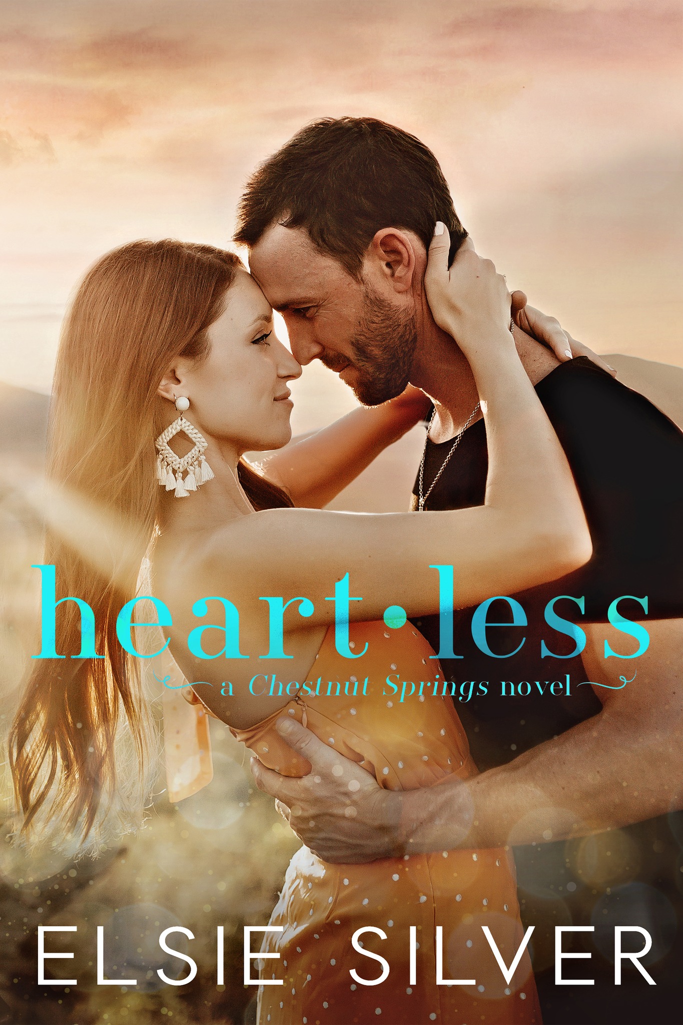 Chestnut Springs book cover 2