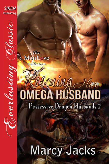 Possessive Dragon Husbands book cover 2