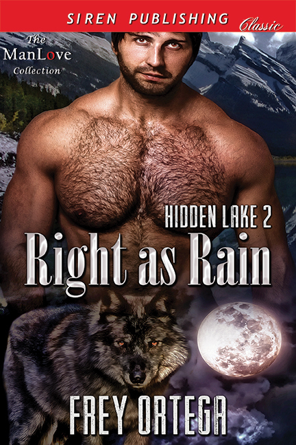 Hidden Lake book cover 2