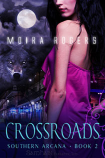 Southern Arcana book cover 2
