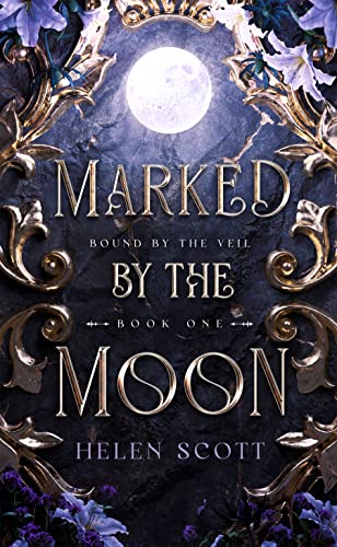 Bound by the Veil book cover 1