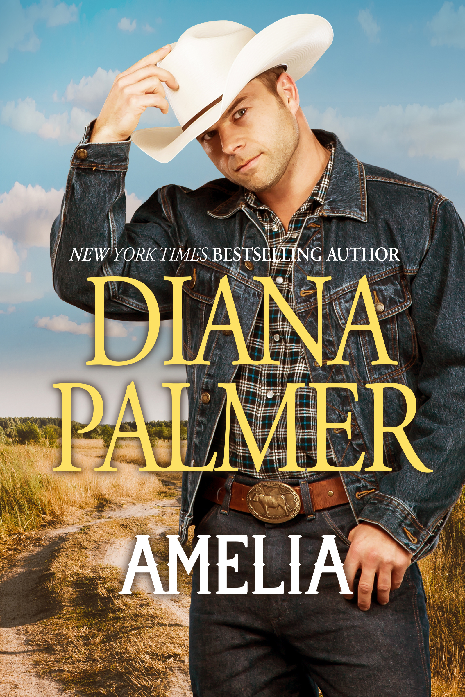 Amelia book cover