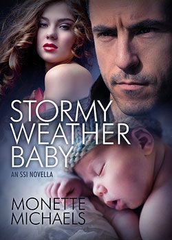 Stormy Weather Baby book cover