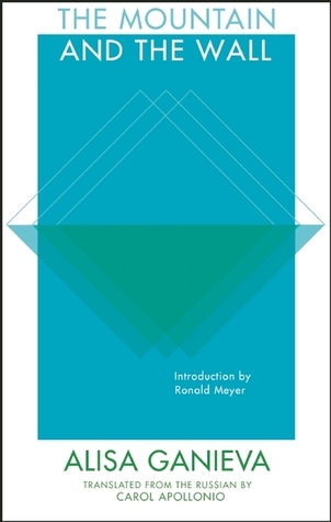 The Mountain and the Wall book cover