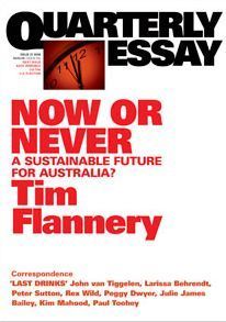 Now or Never book cover