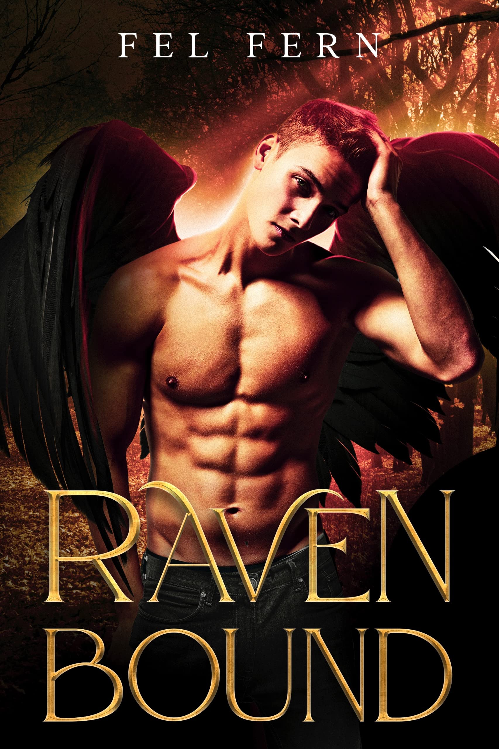 Raven Bound book cover