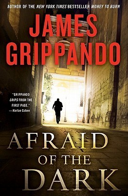 Afraid Of The Dark book cover