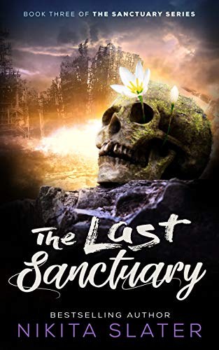 The Last Sanctuary book cover