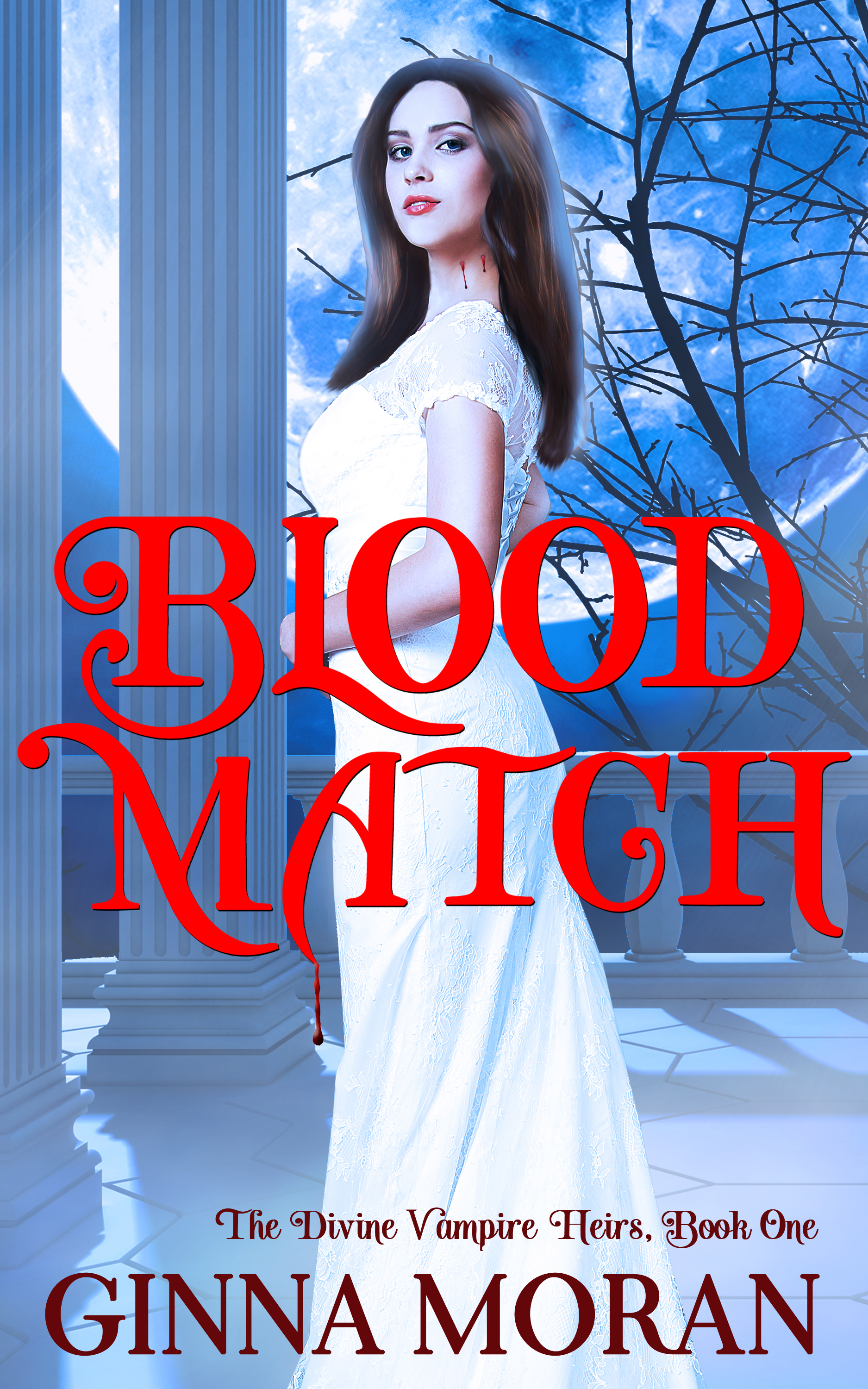 Blood Match book cover