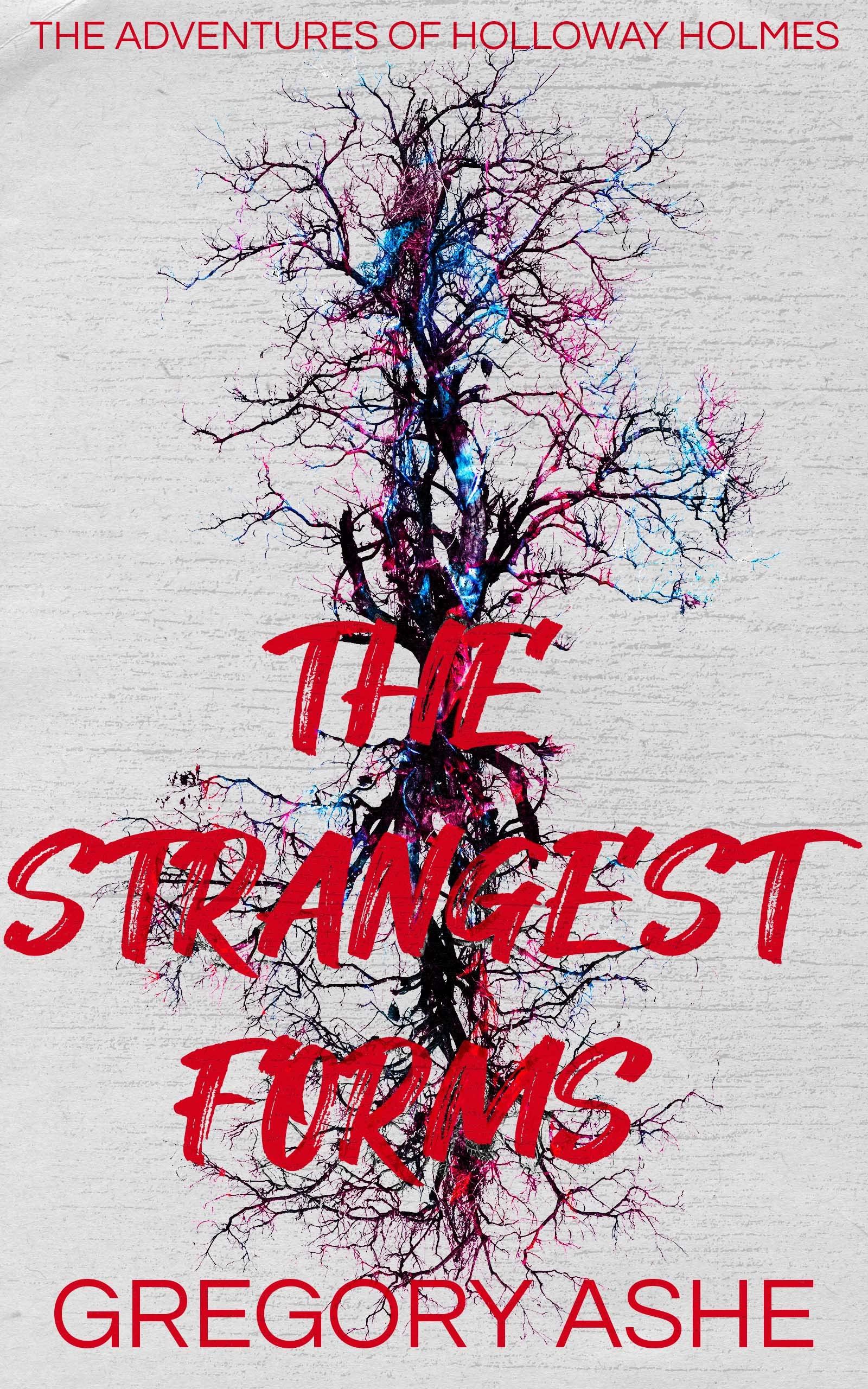 The Adventures of Holloway Holmes book cover 1