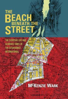 The Beach Beneath the Street book cover