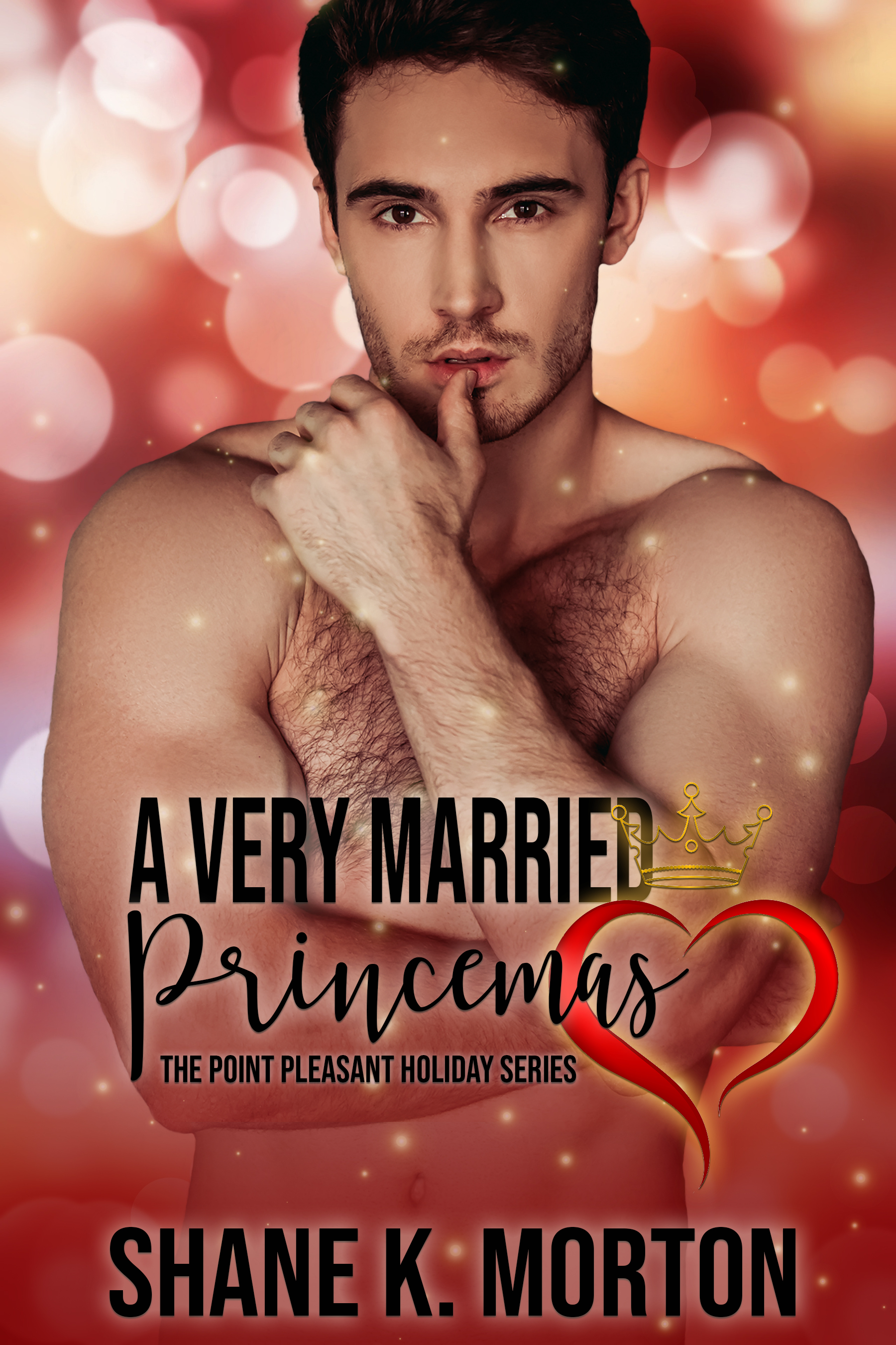 A Very Married Princemas book cover