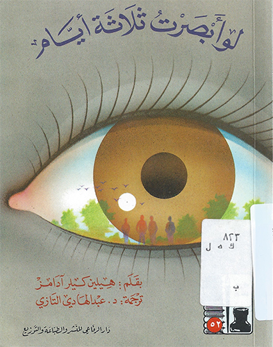 If You Could See for Three Days book cover