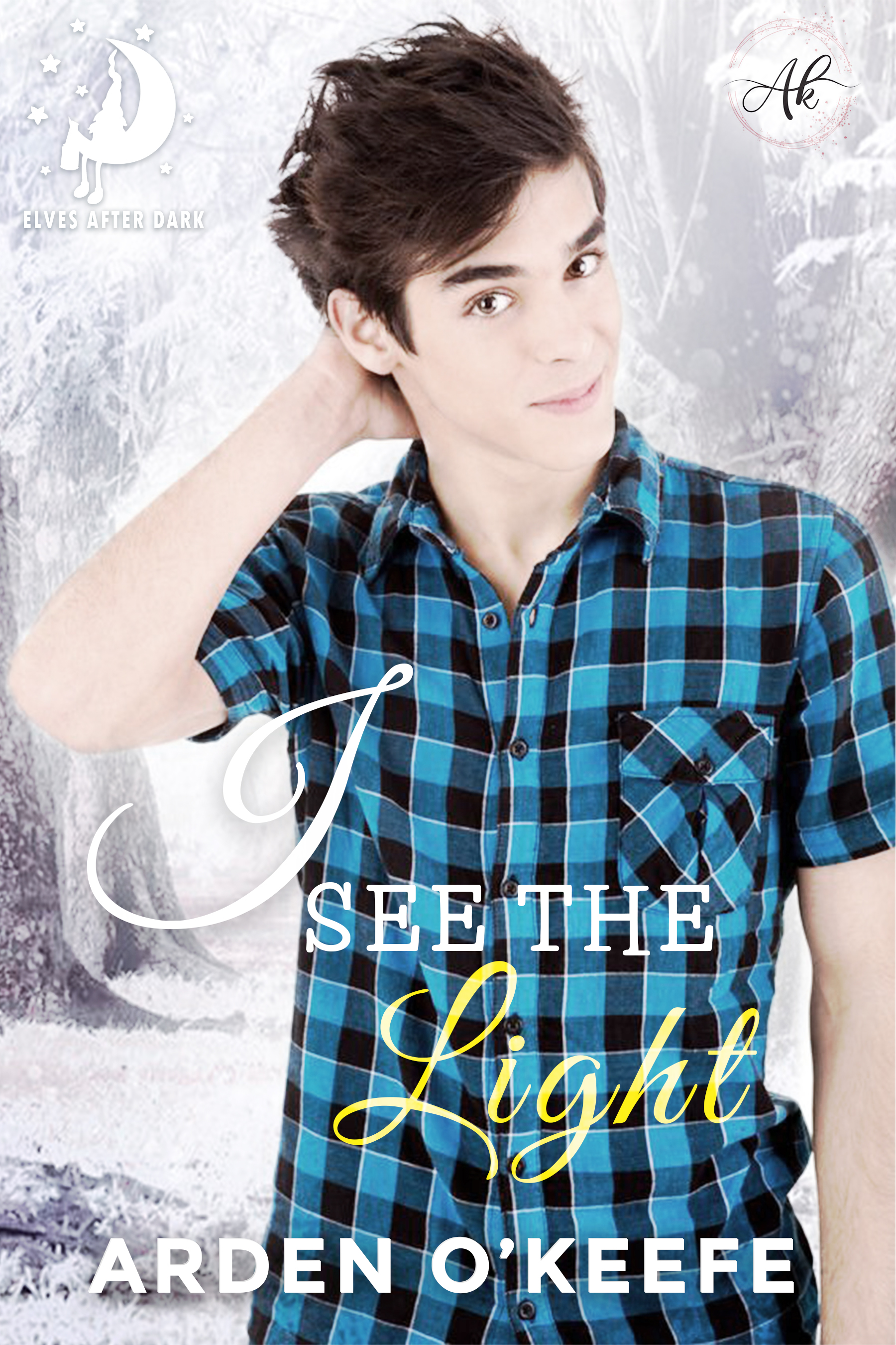I See the Light book cover