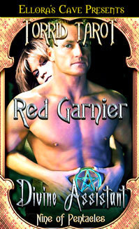 Divine Assistant book cover