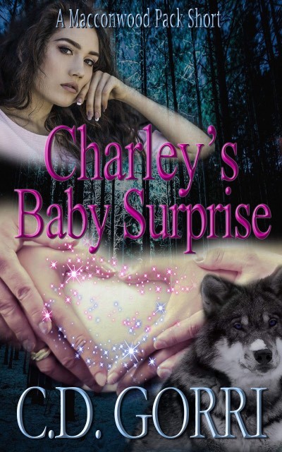 Charley's Baby Surprise book cover