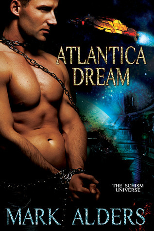 Schism Universe book cover 3