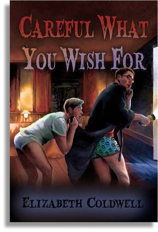 Careful What You Wish For book cover