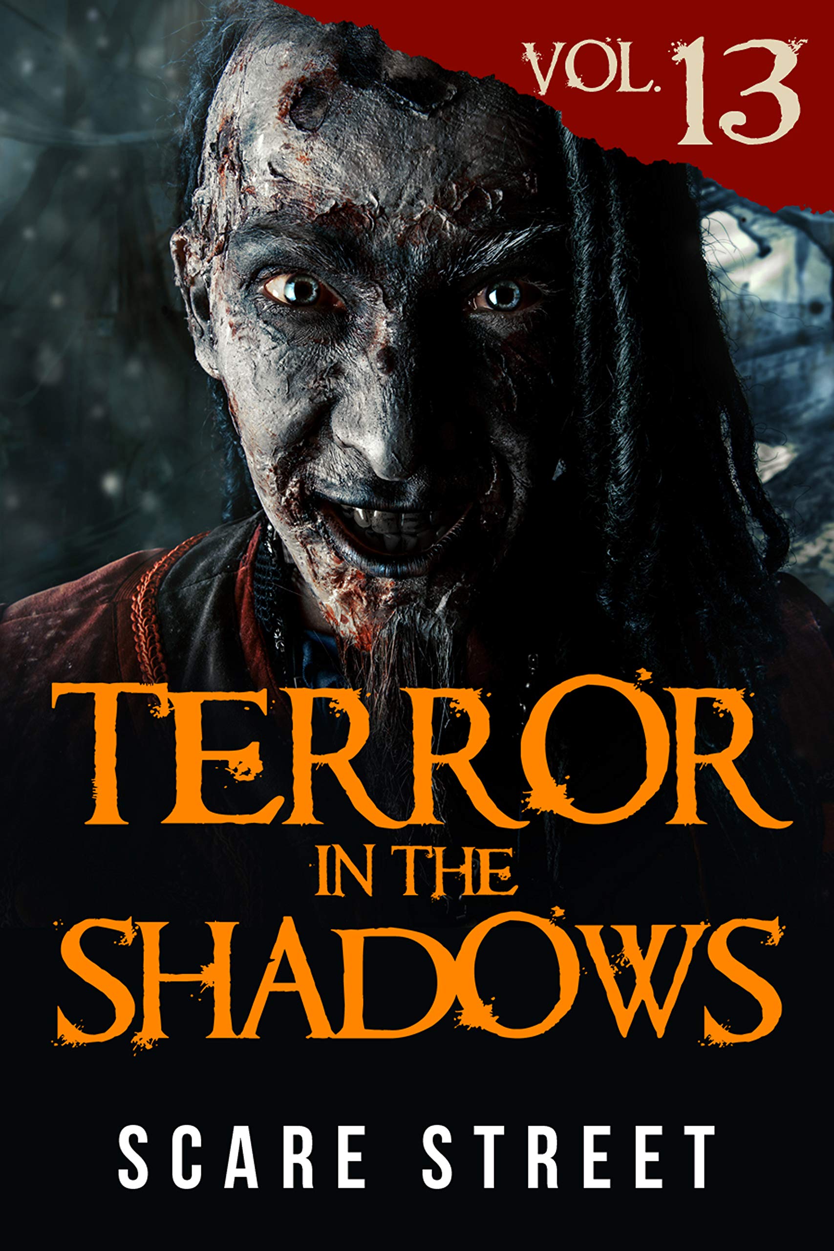 Terror in the Shadows Vol. 13 book cover