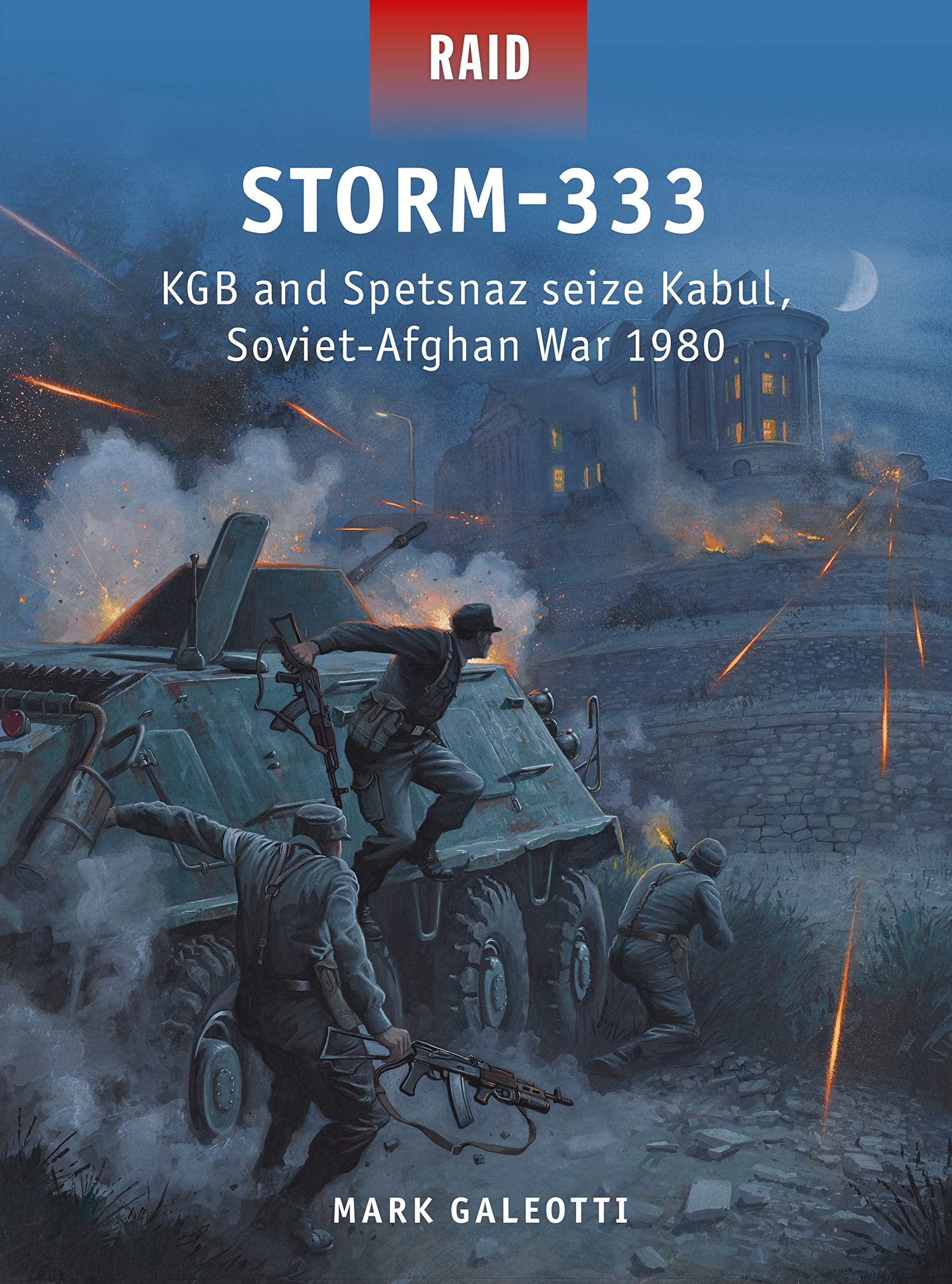 Storm-333 book cover