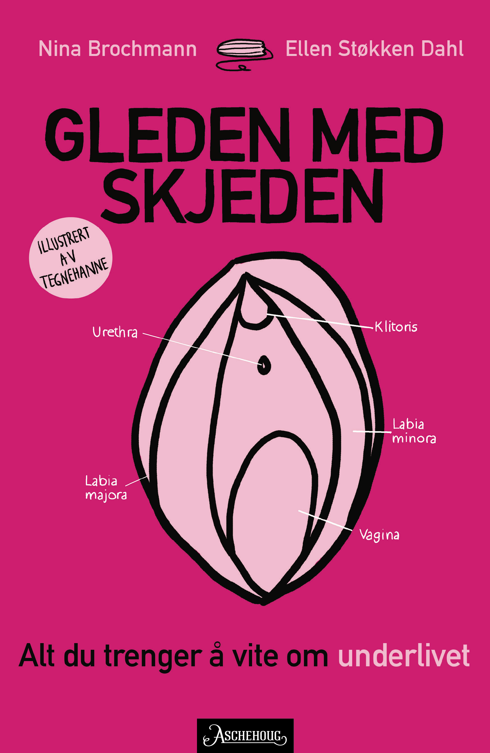 The Wonder Down Under book cover