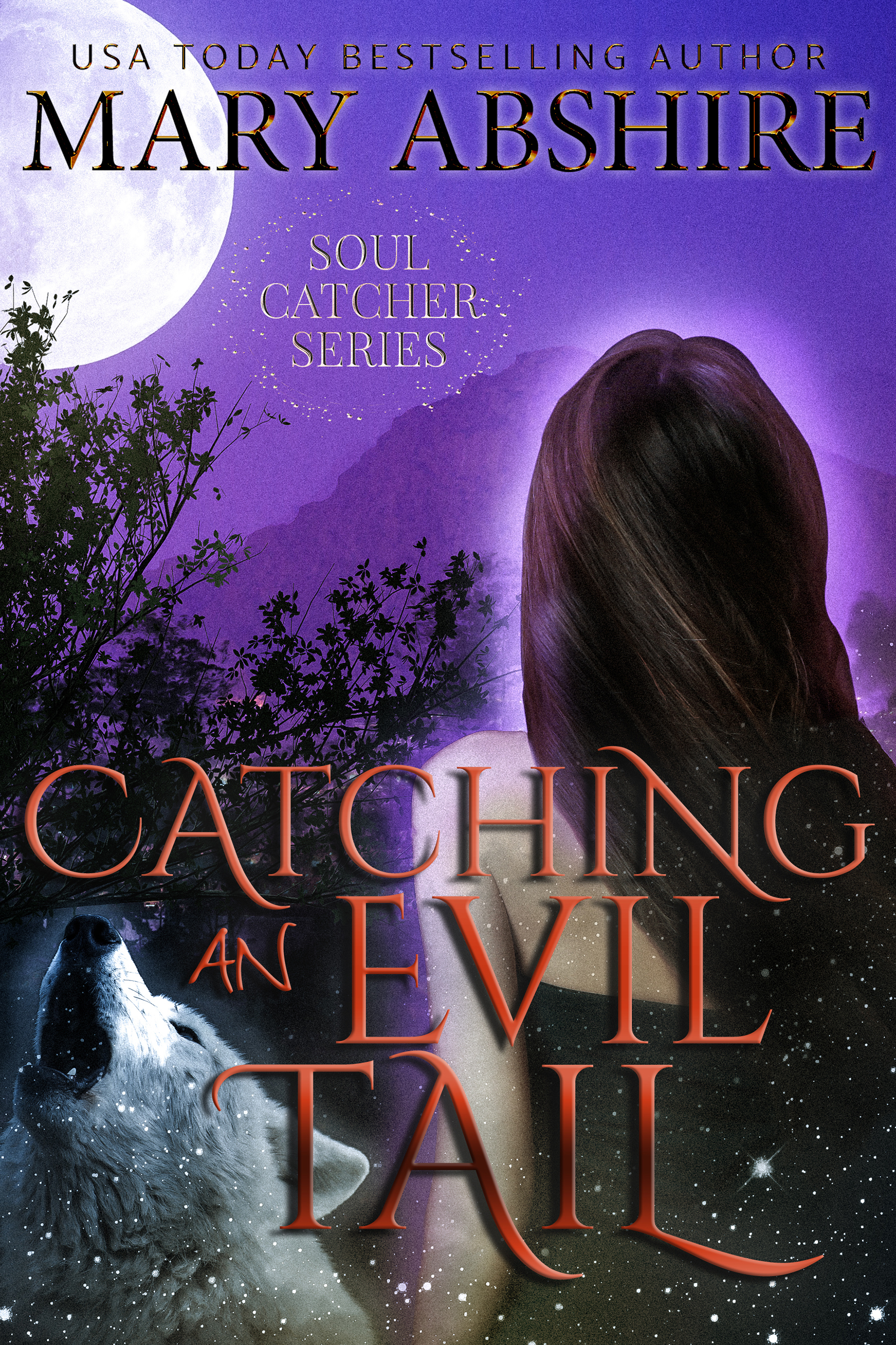 Soul Catcher book cover 2