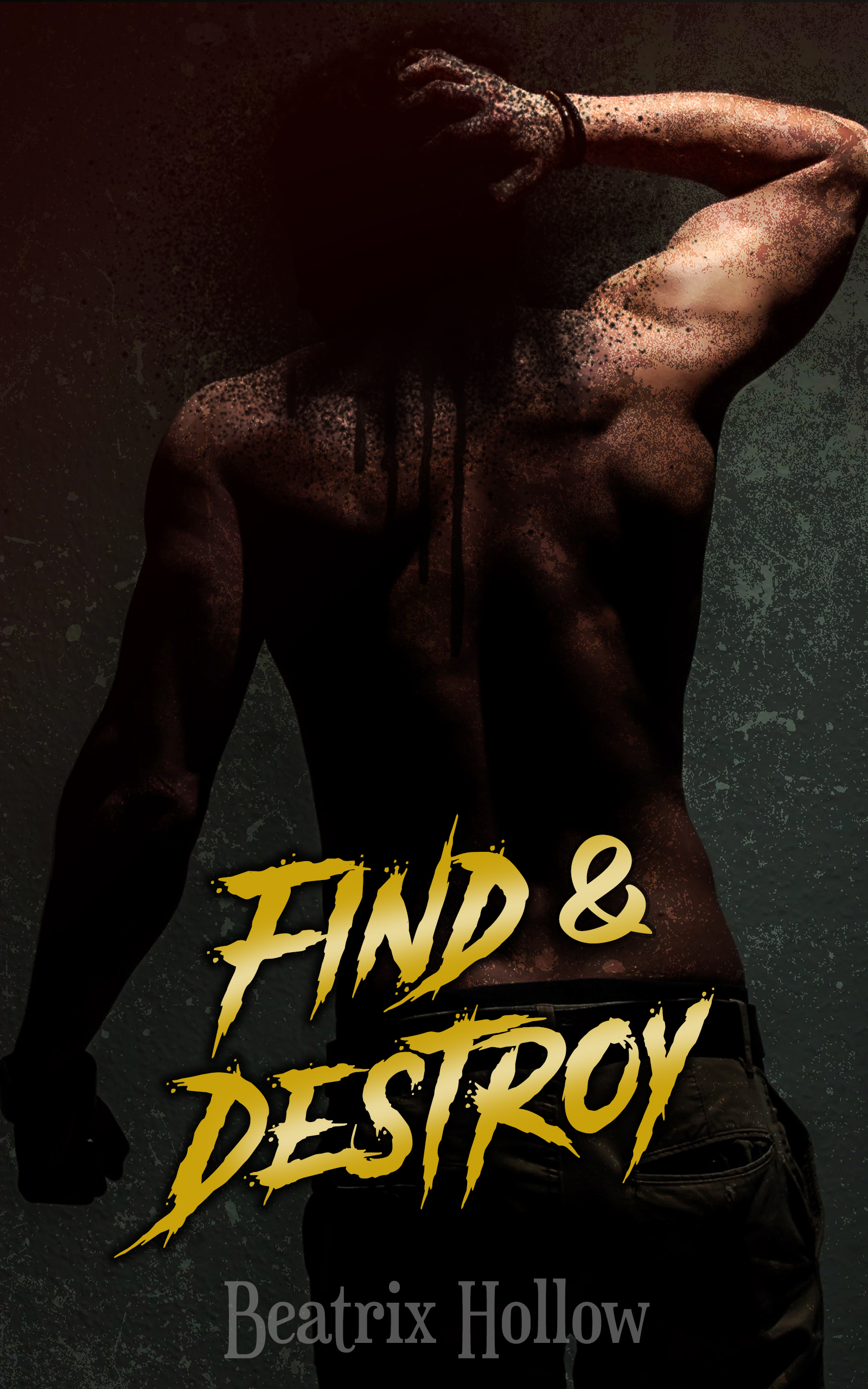 Find & Destroy book cover