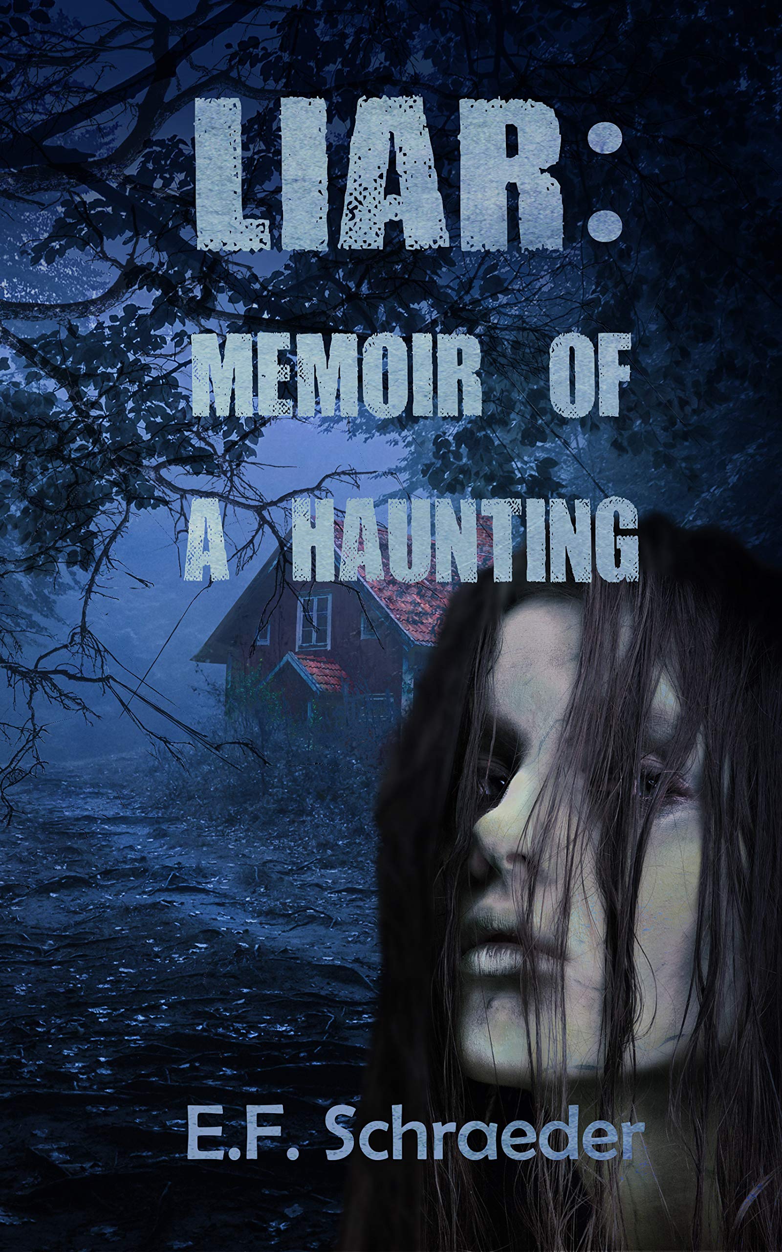 Liar book cover