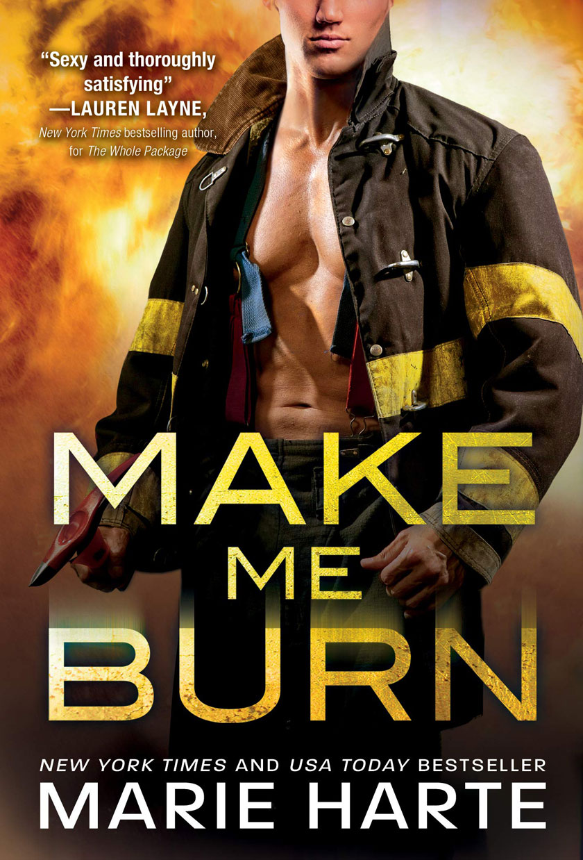 Turn Up the Heat book cover 1