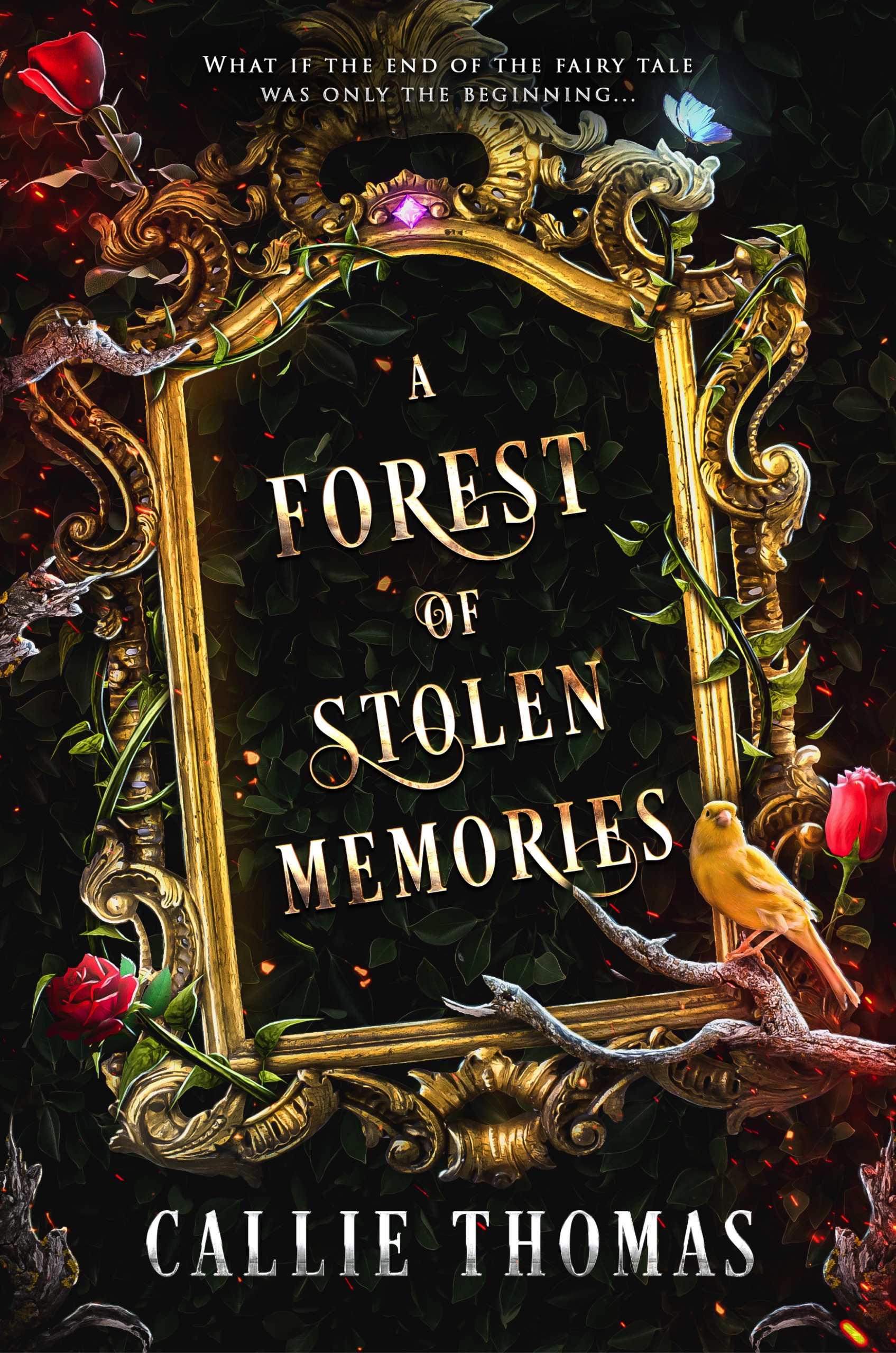 Backward Fairy Tales book cover 1