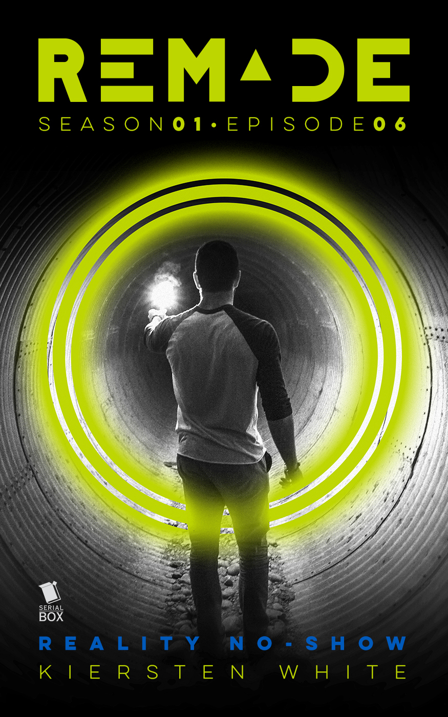Reality No-Show book cover