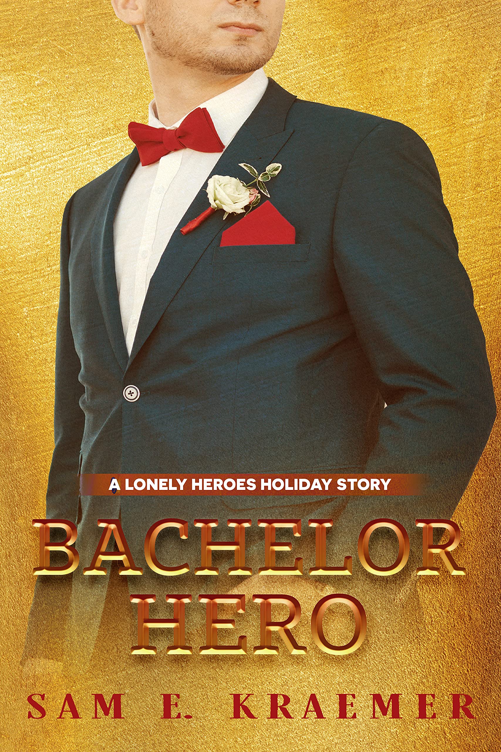Bachelor Hero book cover