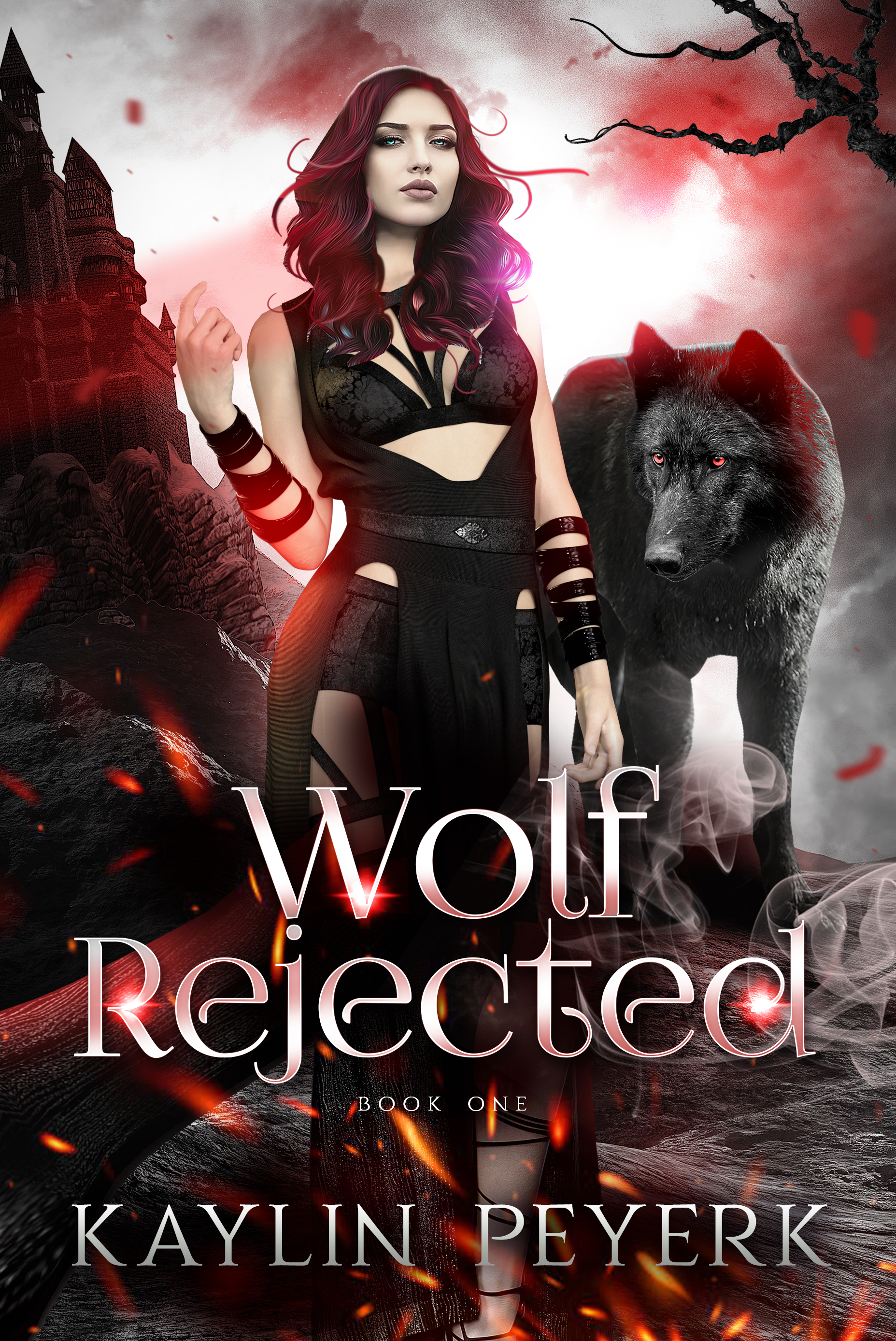 Her Ferocious Mates book cover 1
