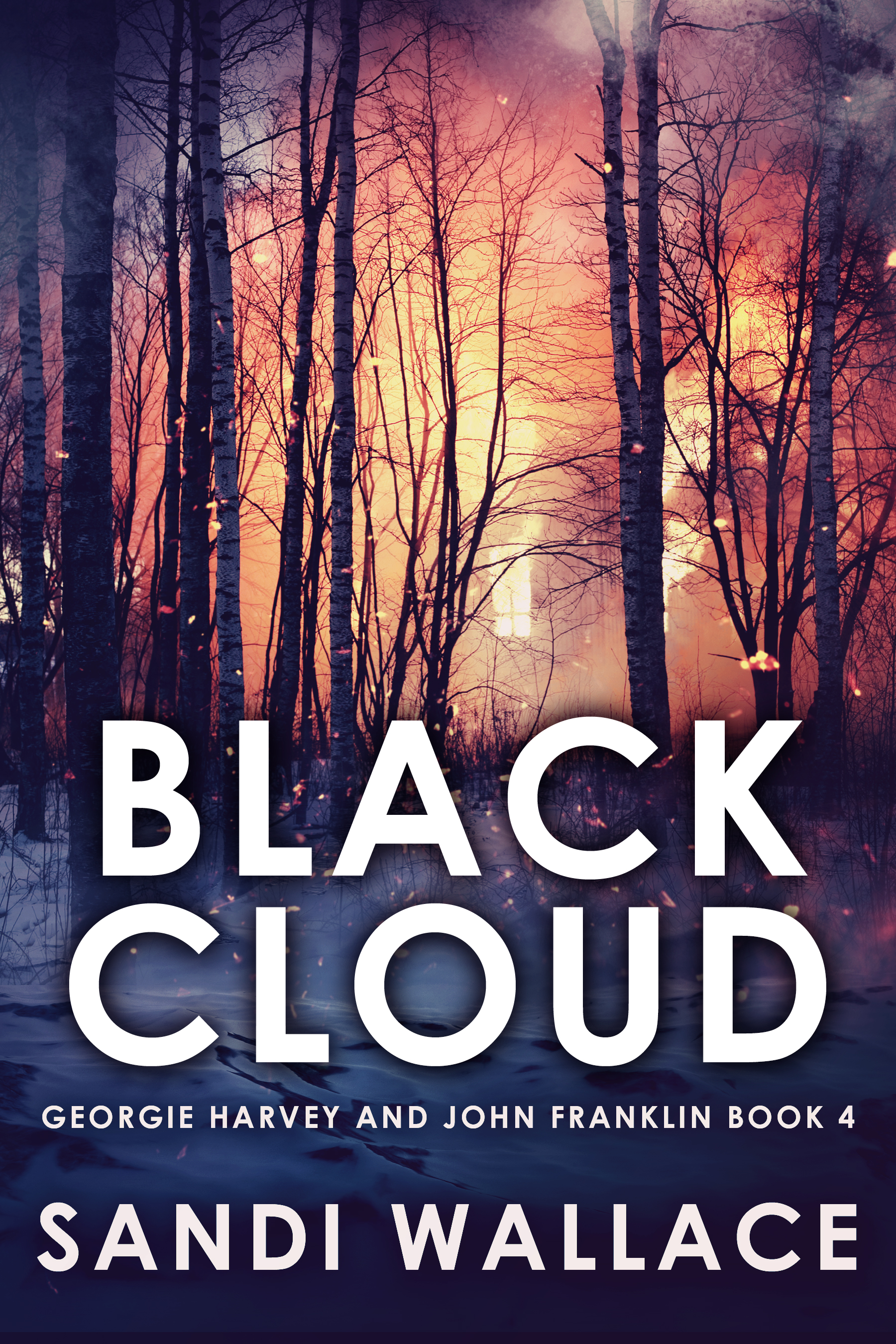 Black Cloud book cover