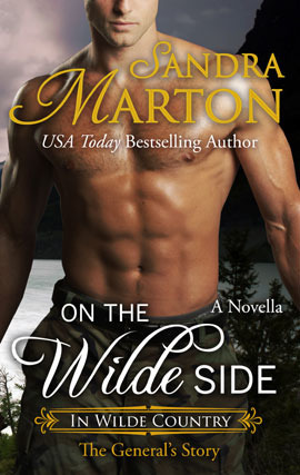 On The Wilde Side book cover