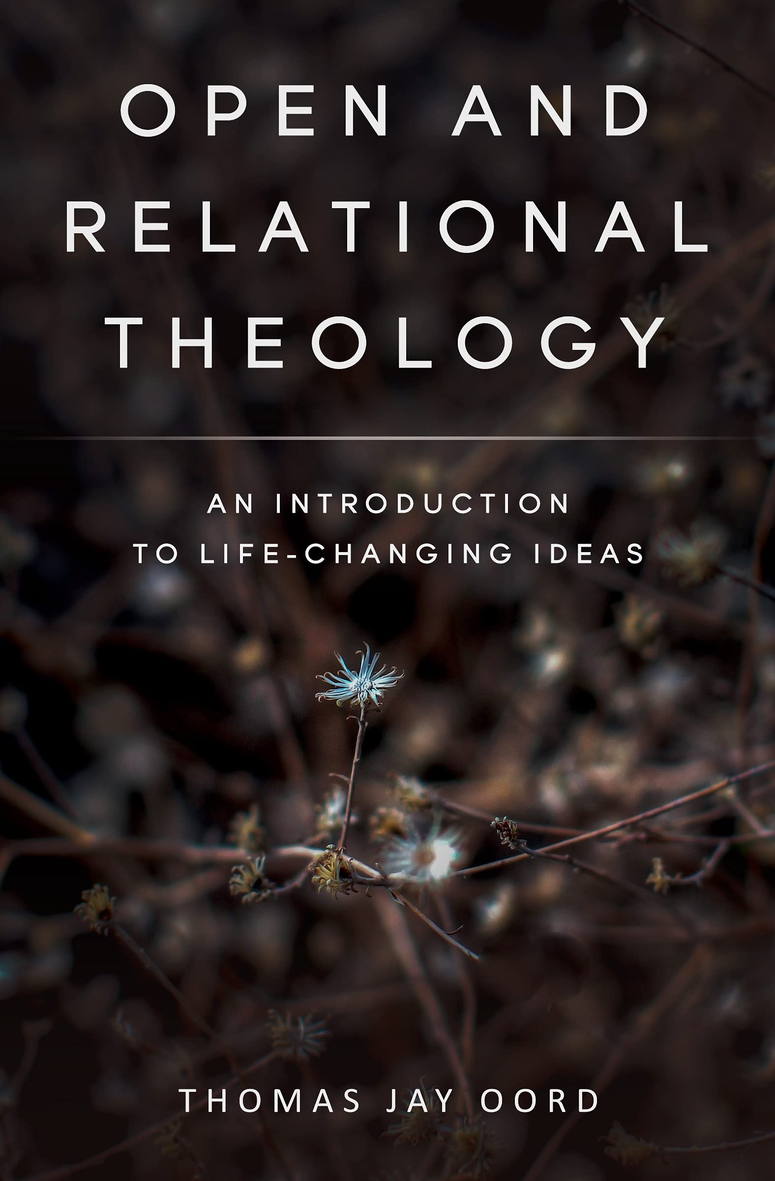Open and Relational Theology book cover