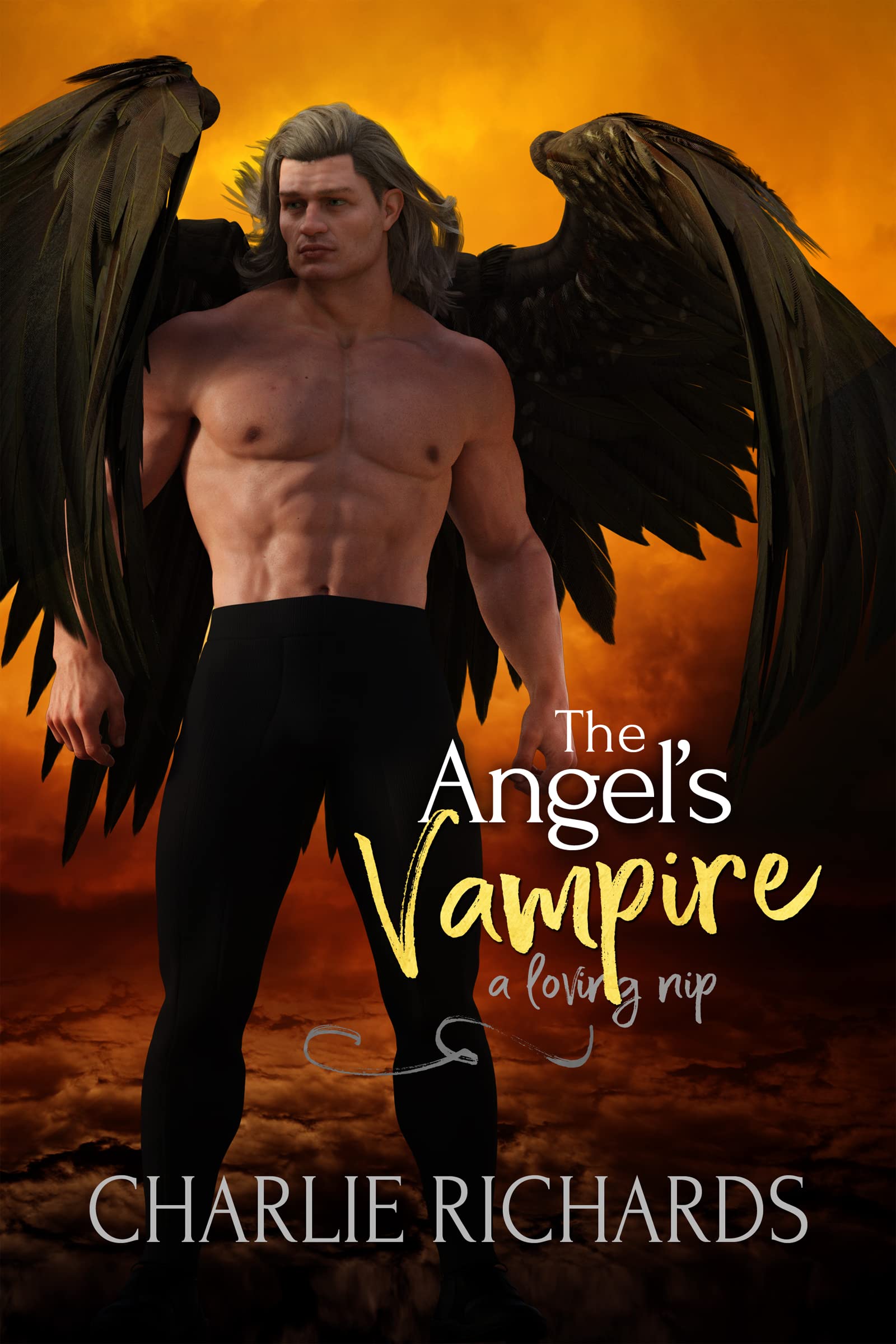The Angel's Vampire book cover