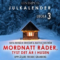 Mordnatt råder: tyst det är i husen book cover 3