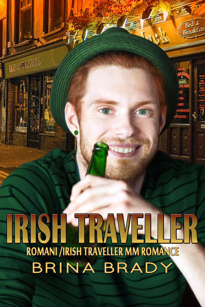 Irish Traveller book cover