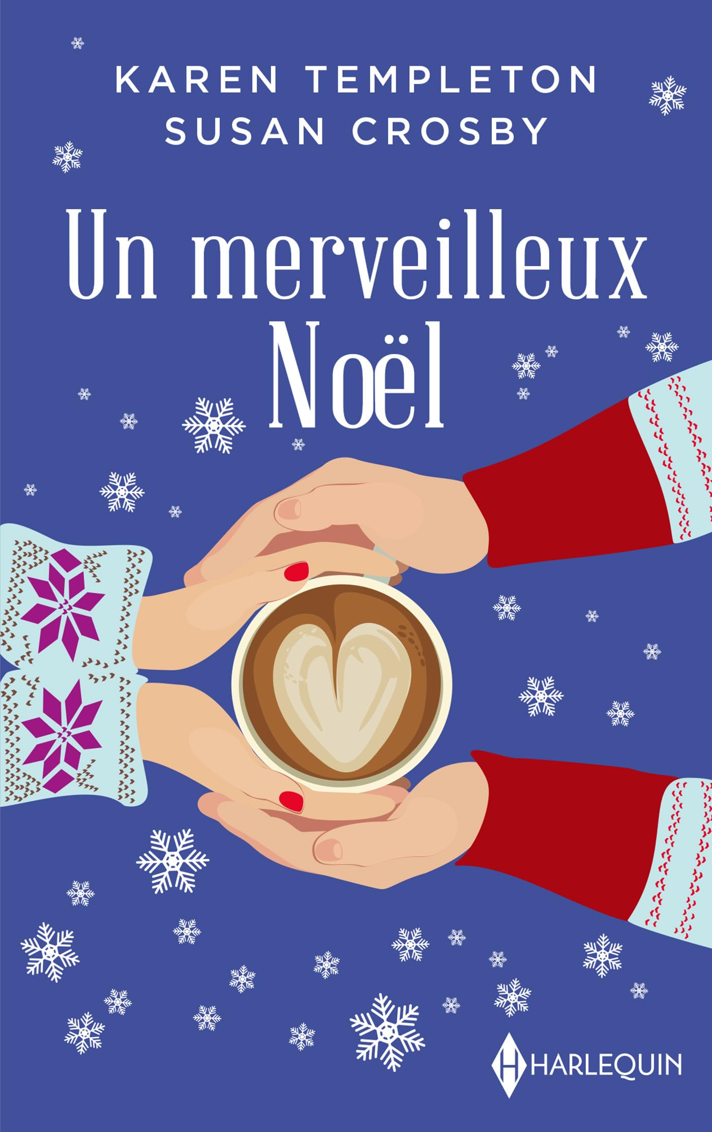 Un merveilleux Noël book cover