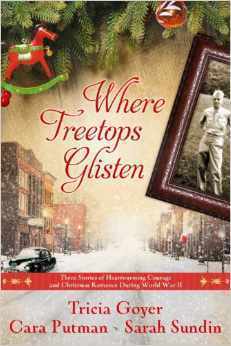Where Treetops Glisten book cover