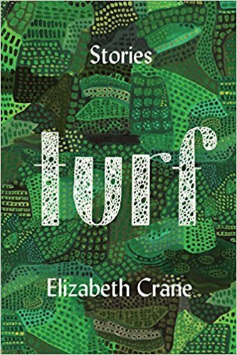 Turf book cover