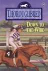 Down to the Wire book cover