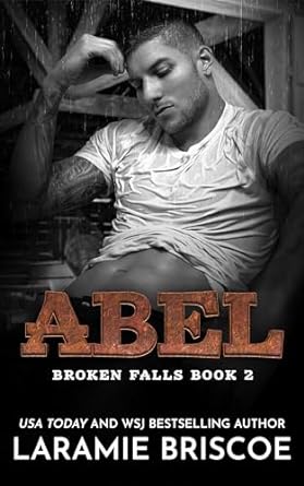 Broken Falls book cover 2