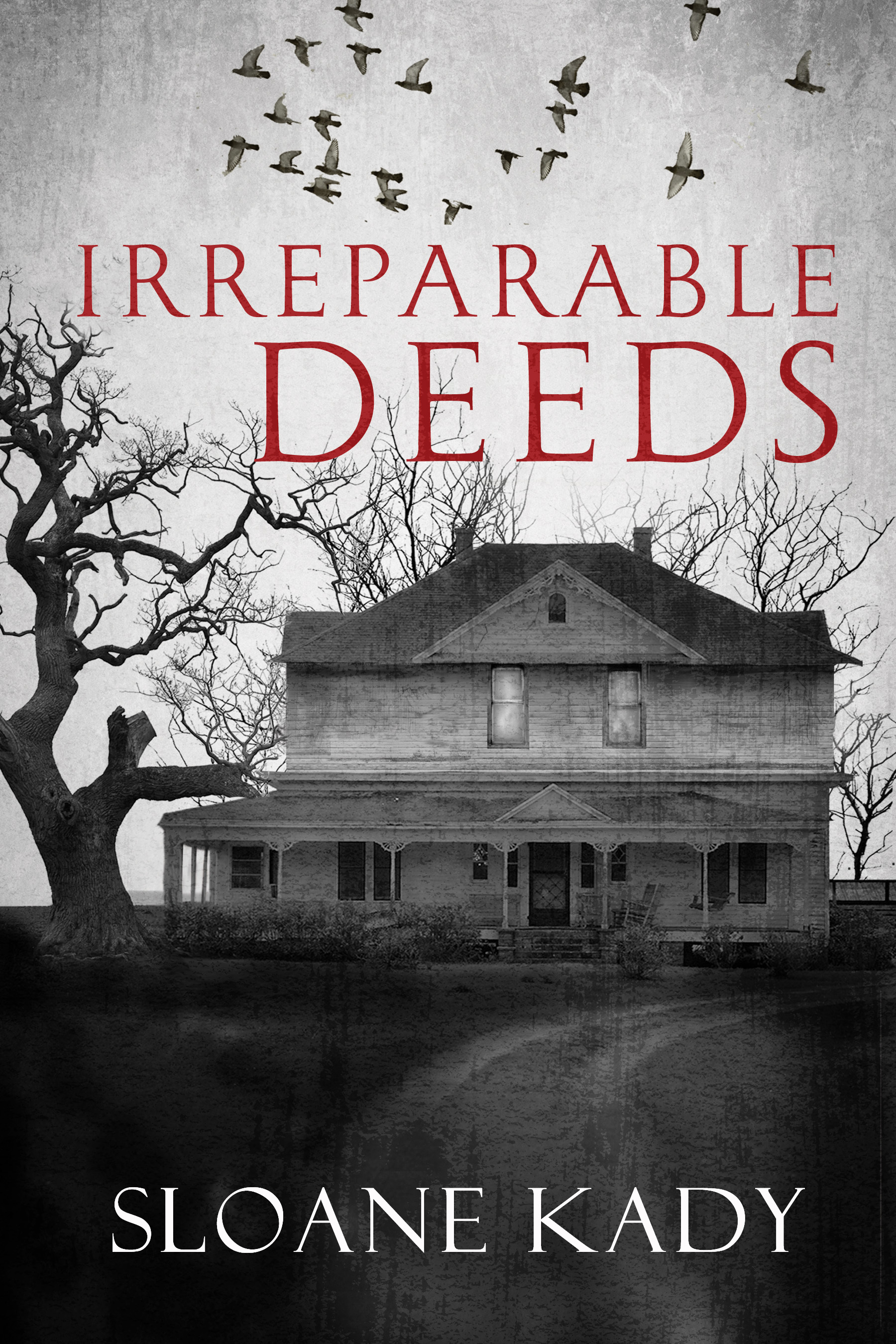 Irreparable Deeds book cover