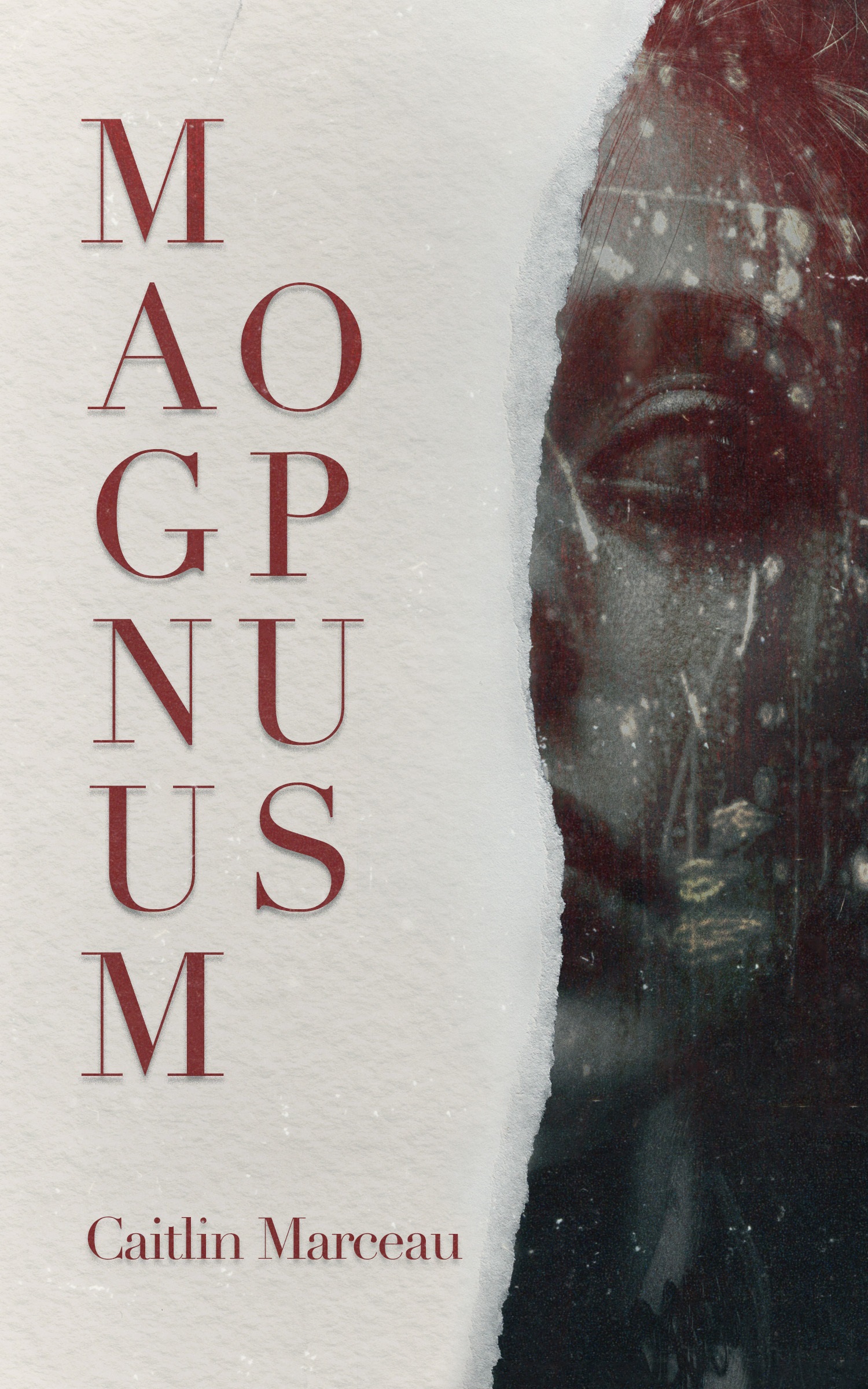 Magnum Opus book cover