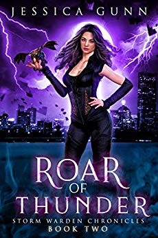 Storm Warden Chronicles book cover 2