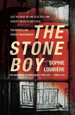 The Stone Boy book cover