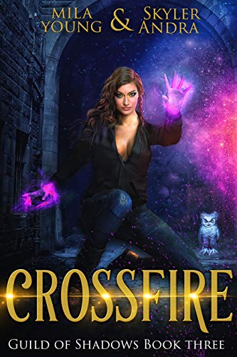 Guild of Shadows book cover 3